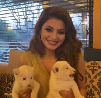 Urvashi Rautela has lioness cub named after her
