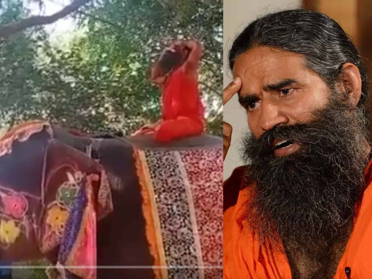 Watch: Baba Ramdev falls of an elephant while teaching yoga
