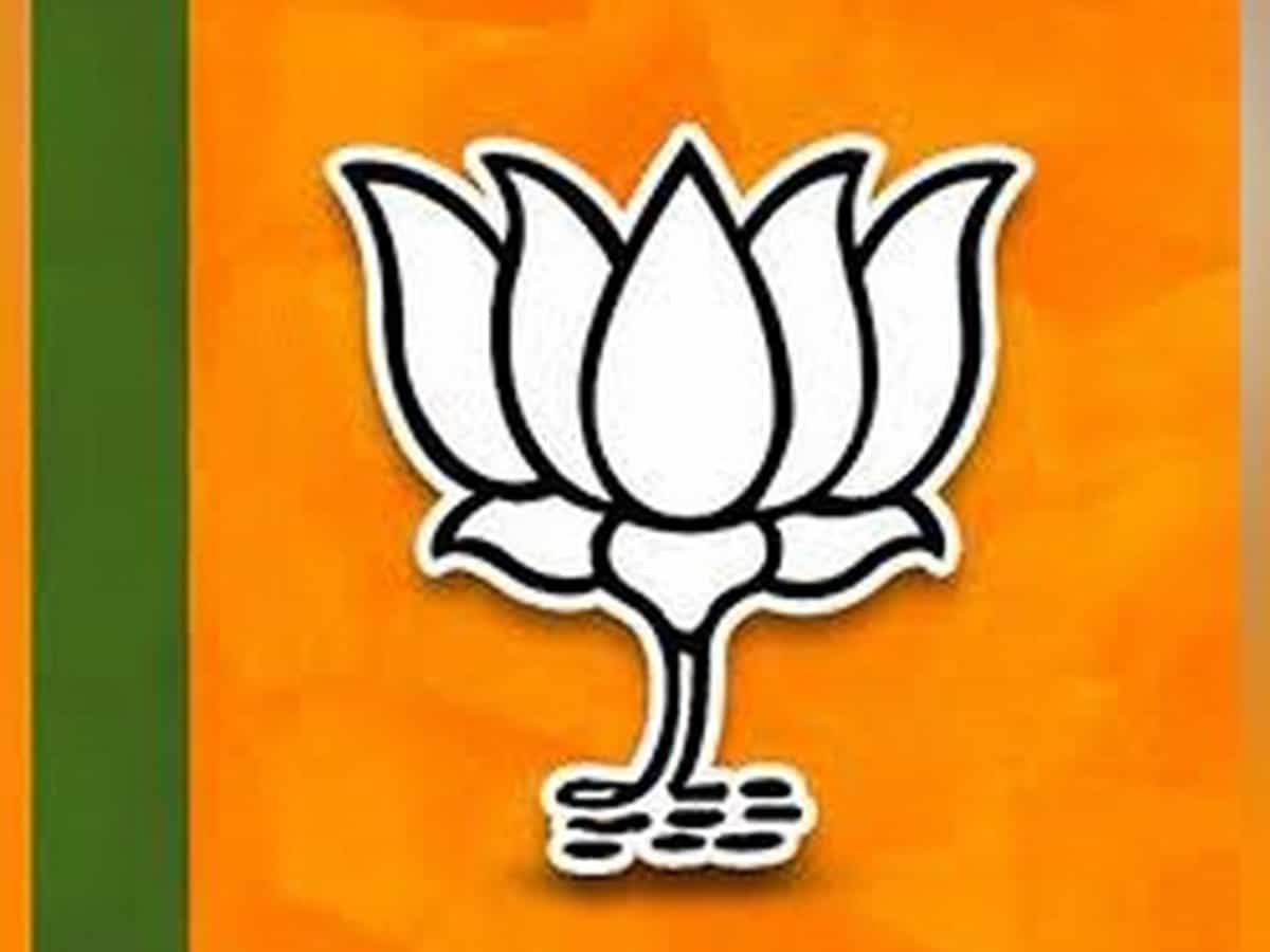 BJP gives 11 seats to VIP from its quota for Bihar polls