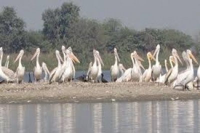 Agra's Soor Sarovar now Ramsar site