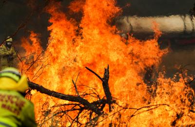 Australia's east coast on high alert for bushfire