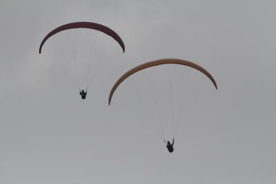 French paraglider killed in mishap in Himachal Pradesh