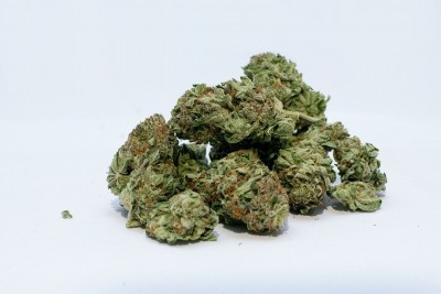 One held with 2 kg marijuana in Gurugram