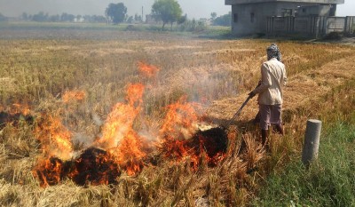 Stubble burning contributing 40% to Delhi's pollution