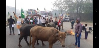 Trade union strike hits Bihar, workers block roads with buffaloes (Ld)