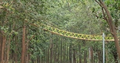 Uttarakhand has a bridge for reptiles, animals