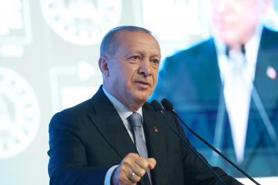 Erdogan calls on Putin to establish 30-kilometer Syrian corridor