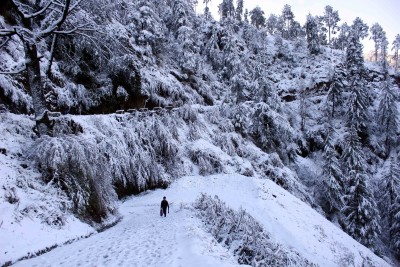Shimla gets season's first snowfall