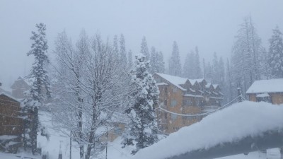 Fog in Jammu, light snowfall in Kashmir Valley