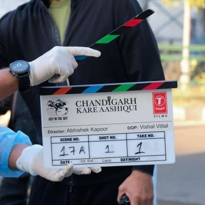 Ayushmann Khurrana fun to work with: 'Chandigarh Kare Aashiqui' co-actor Abhishek Bajaj