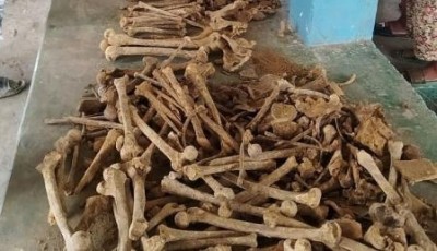 Bone smuggler arrested along Indo-Nepal border