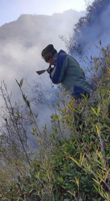 Dzukou Valley wildfire 'almost under control', efforts to continue