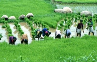 Govt may announce farm loan waiver scheme in Budget