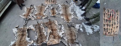 J&K police recover banned wild animal skin, 1 held