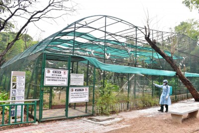 Lucknow Zoo shuts bird enclosure after bird flu scare