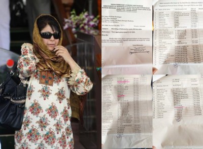 Mehbooba as CM spent Rs 82L in 6 months; once Rs 28L a day: RTI