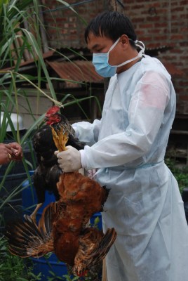 NE states sound alert for bird flu, no case reported yet