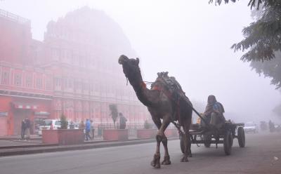 Rajasthan: Drizzle brings respite from cold wave