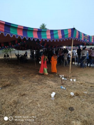 Sankranti cockfights popular in Andhra Pradesh despite Covid