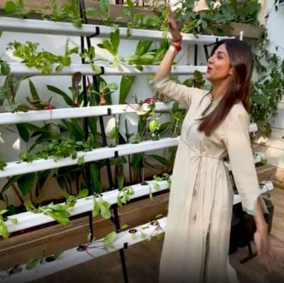 Shilpa Shetty offers fans a glimpse of her hydroponic farm