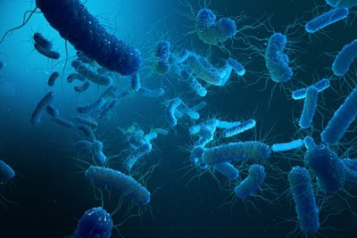 Are good bacterias getting viral infections?