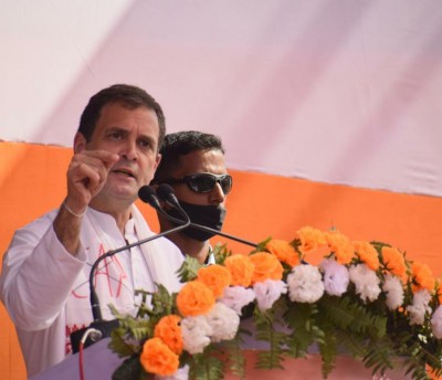 Corporates will grab Rs 80 lakh cr agribusiness: Rahul on farm laws