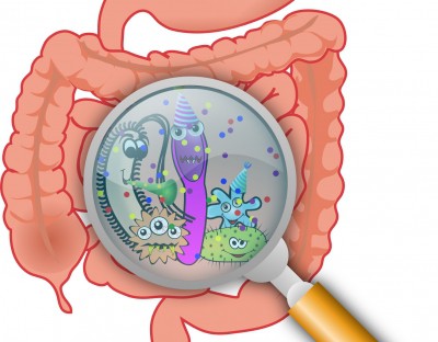 How harmless gut bacteria 'turn bad'