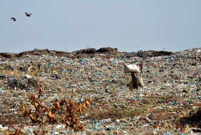 Punjab achieves 100% door-to-door collection of solid waste: Chief Secy
