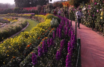 Riot of colours to savour as Mughal Gardens set to open