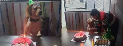 UP Police celebrates sniffer dog's birthday