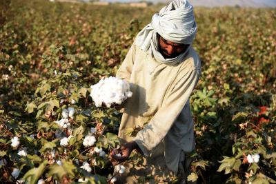 US bans import of Chinese cotton but India yet to cash in as domestic prices surge