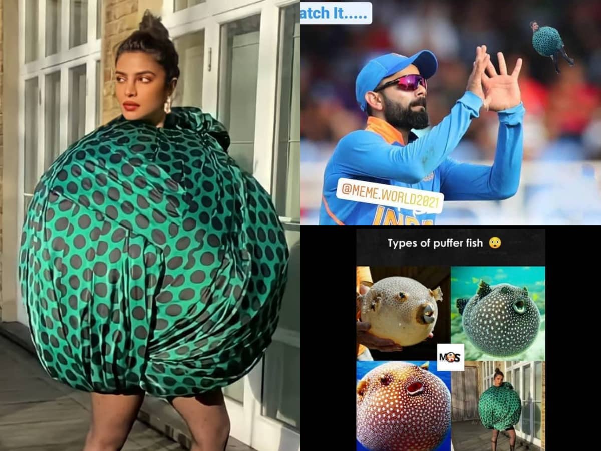 Priyanka Chopra's bizarre look sparks hilarious meme fest, don's miss the best one!