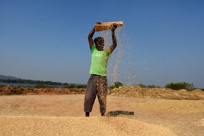 Bullish commodity prices boost agri export prospects