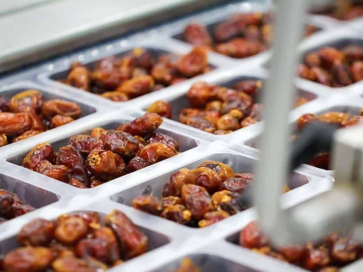 Dubai to get world's biggest privately-owned date factory