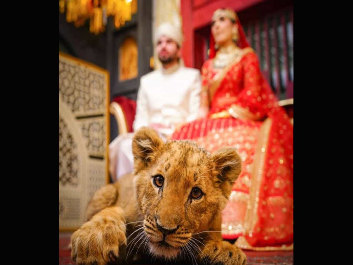 Pakistani Couple