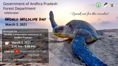Wildlife Day webinar to focus on whale sharks