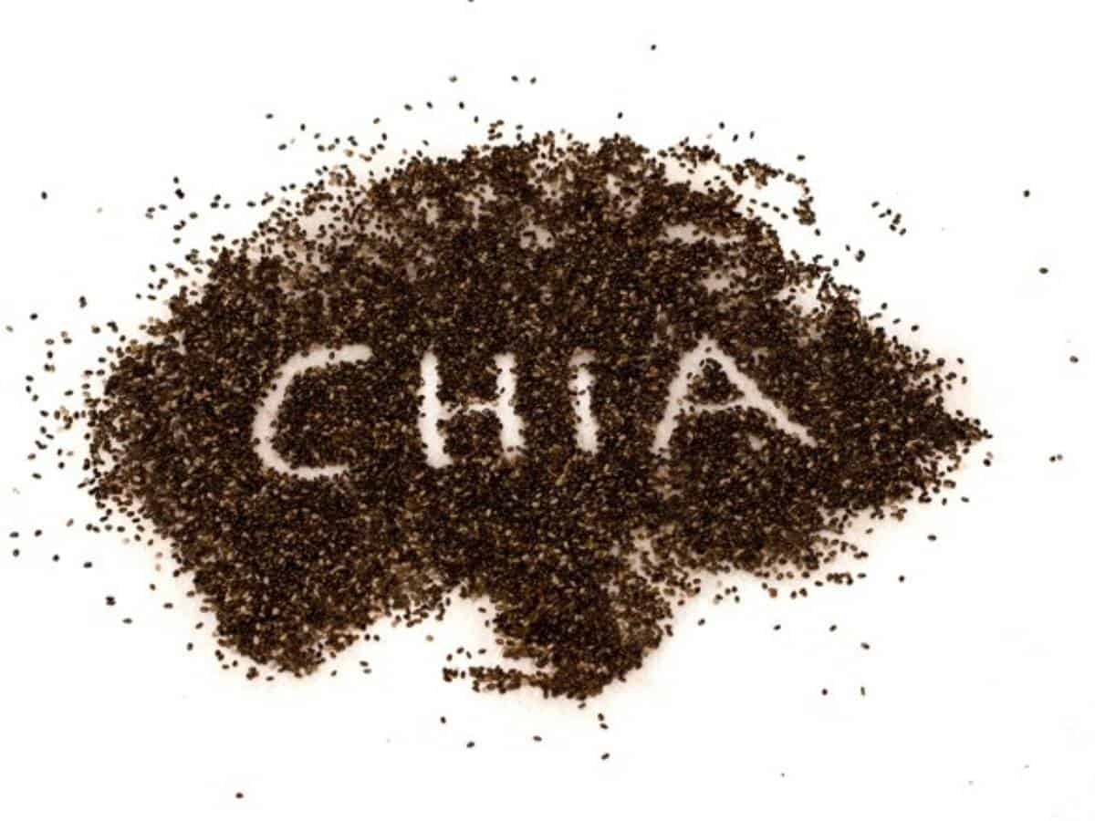 Chia seeds may provide options for nutritional foods, capsules