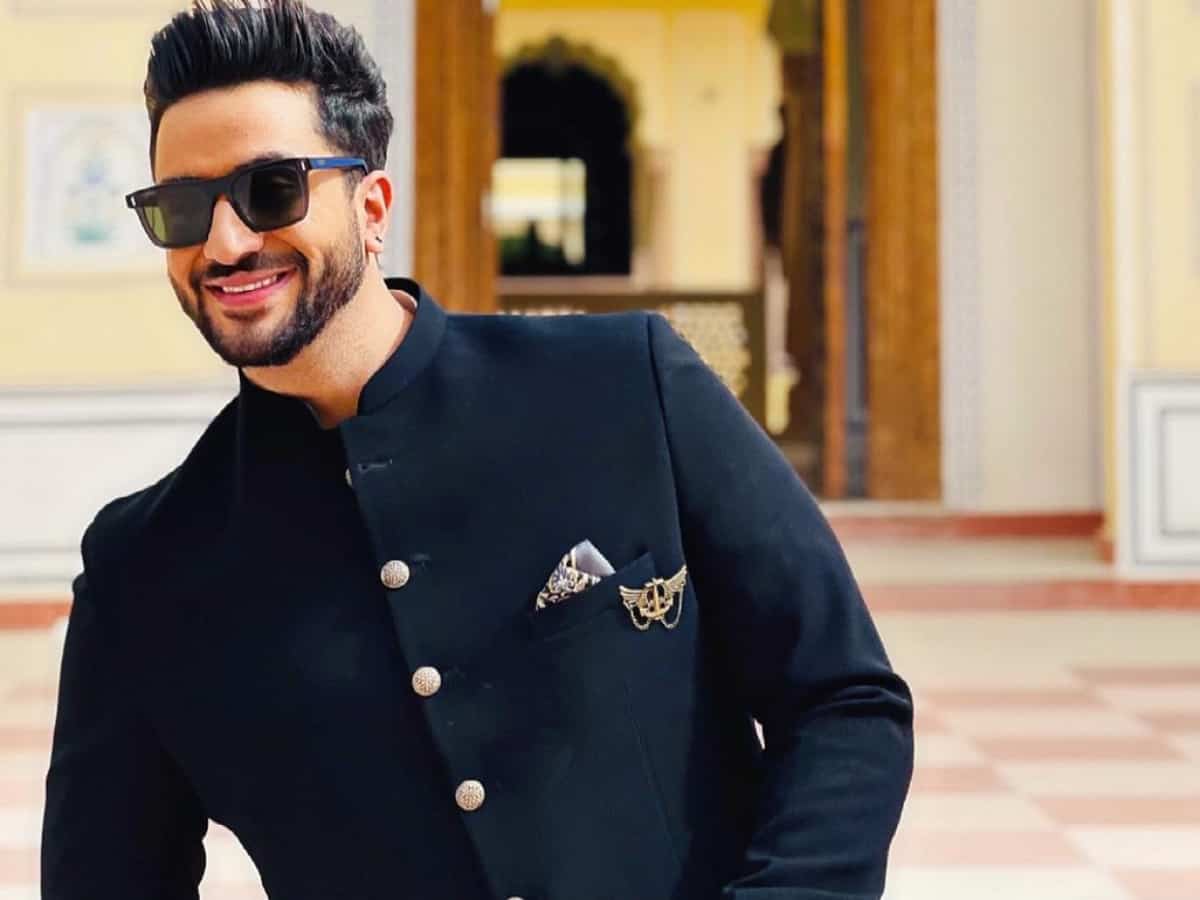 Did Aly Goni accept Instagram fan's marriage proposal?