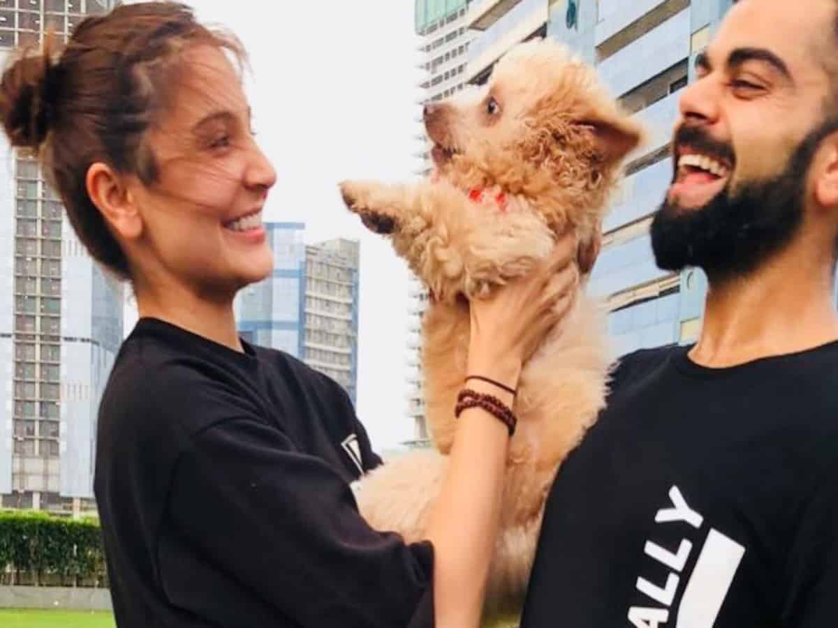 Watch: Anushka, Virat's priceless lockdown moments with furry friends