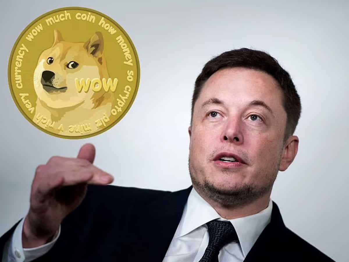 Musk-promoted Dogecoin crashes as he appears on 'SNL' TV show