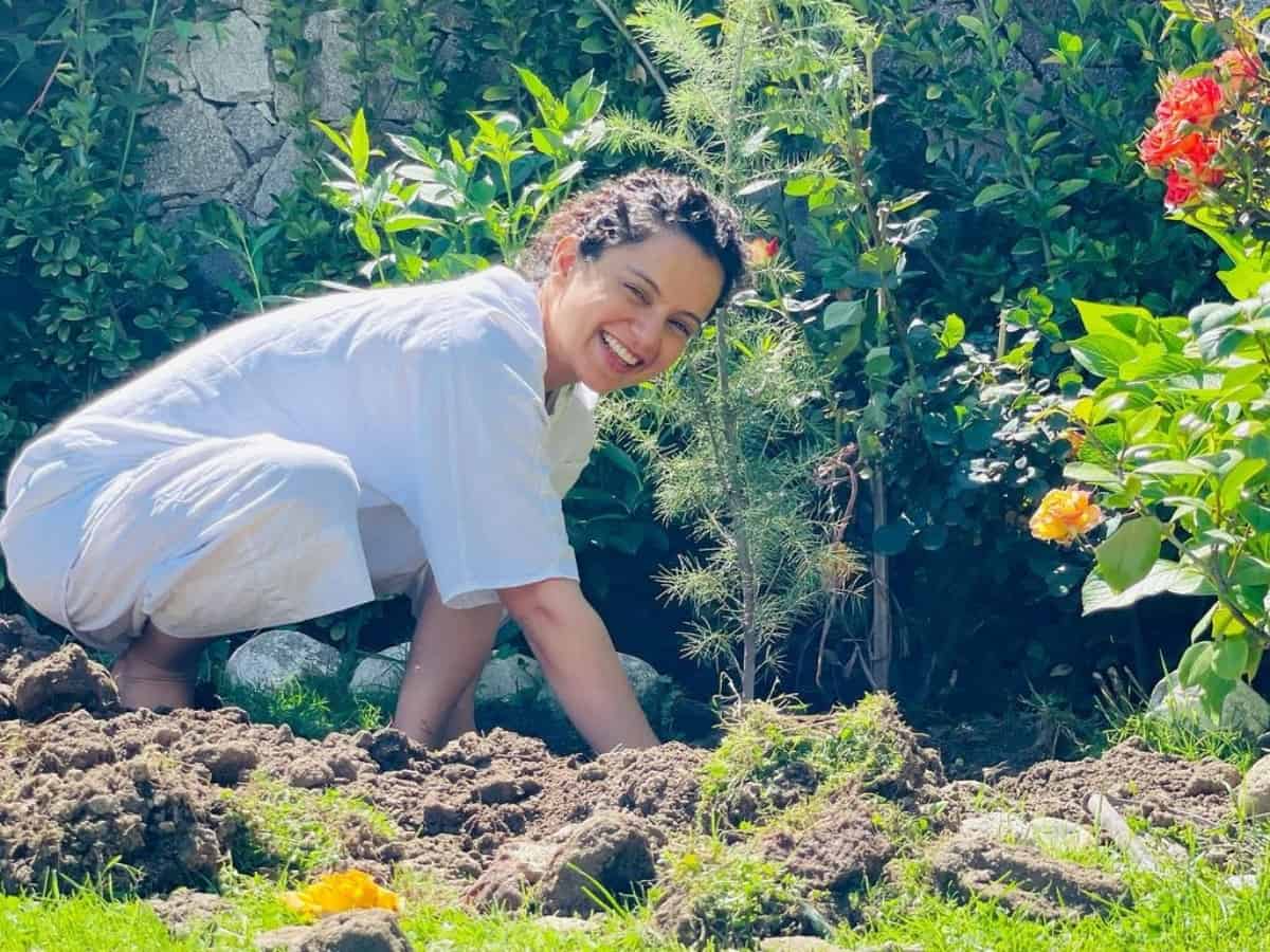 Kangana plants trees in Tauktae aftermath; requests BMC, Gujarat govt to follow suit