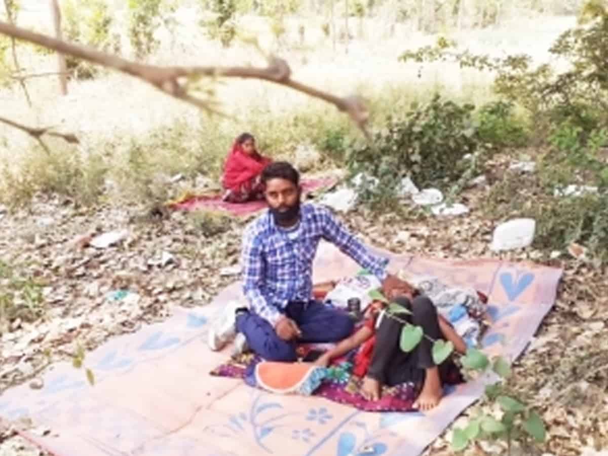 COVID-19 patients make beeline for Peepal tree in UP district