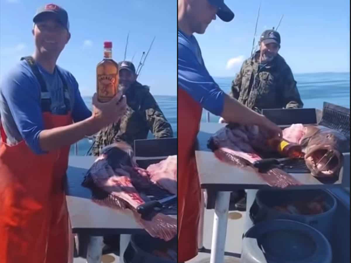 Fishermen fillet a fish to find Fireball Whisky inside