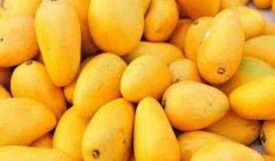 'Kisan Rail' carrying mangoes chugs to Delhi from K'taka