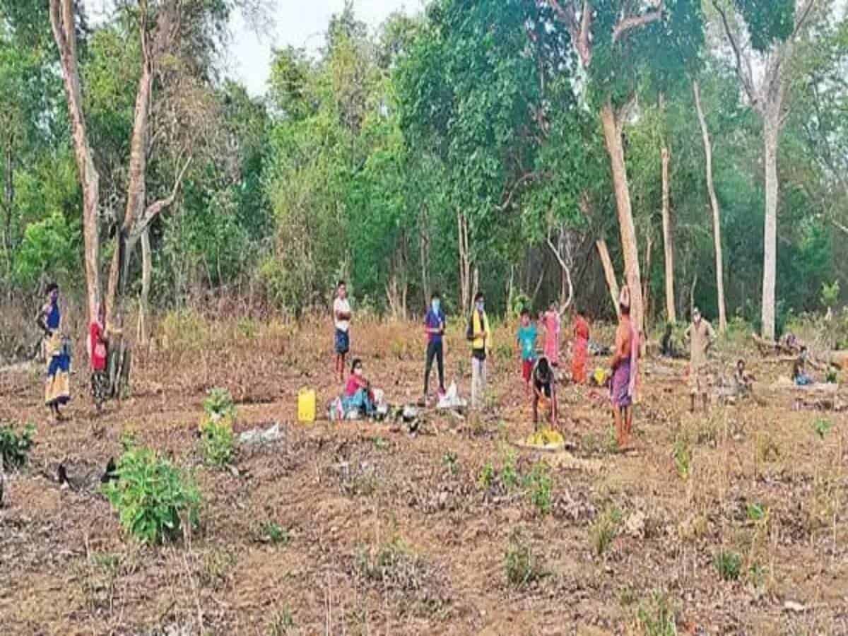 Tribals in Telangana village isolate in forest after testing COVID +ve