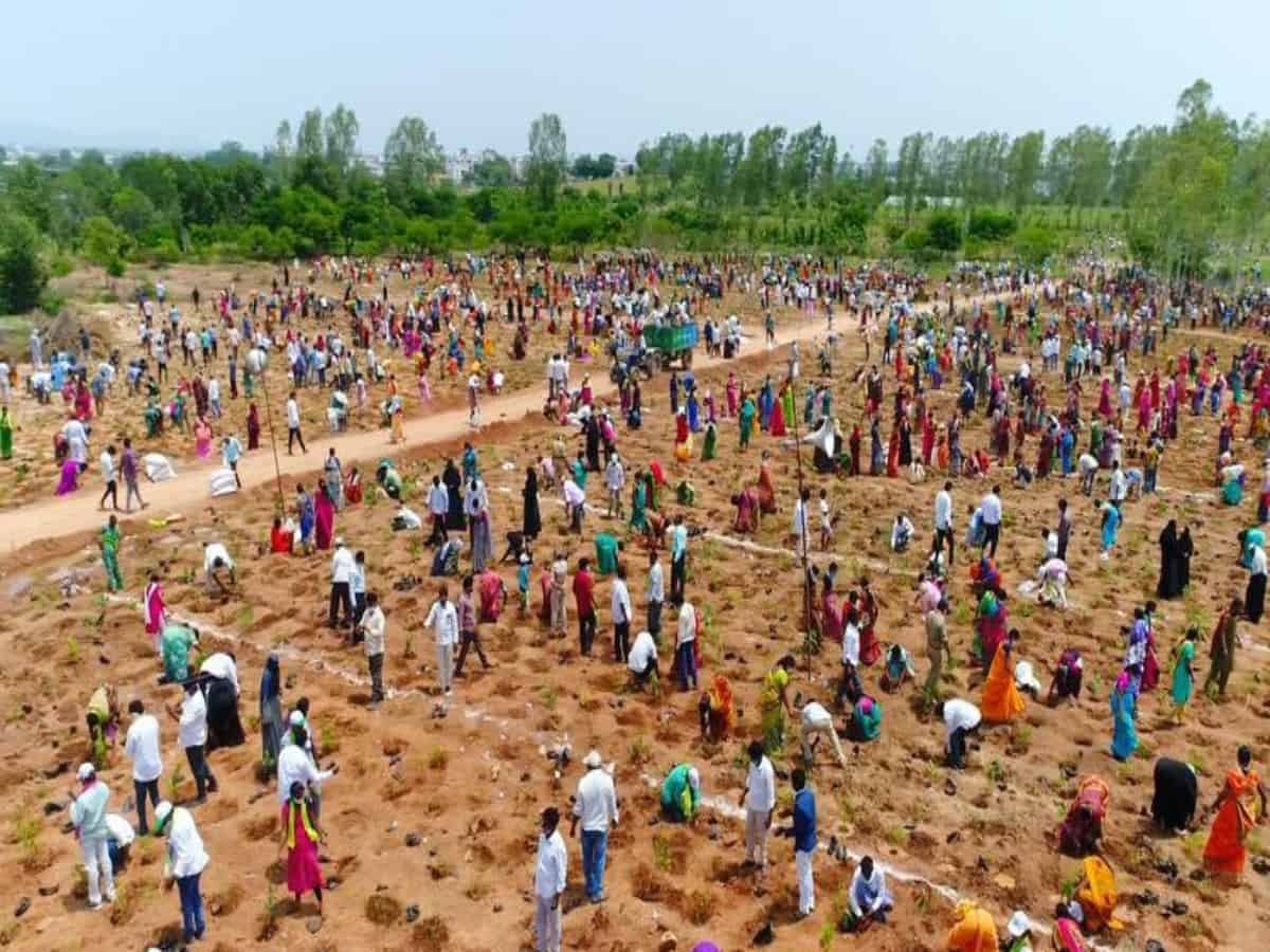 1 million saplings in 1 hour: Telangana aims for world record
