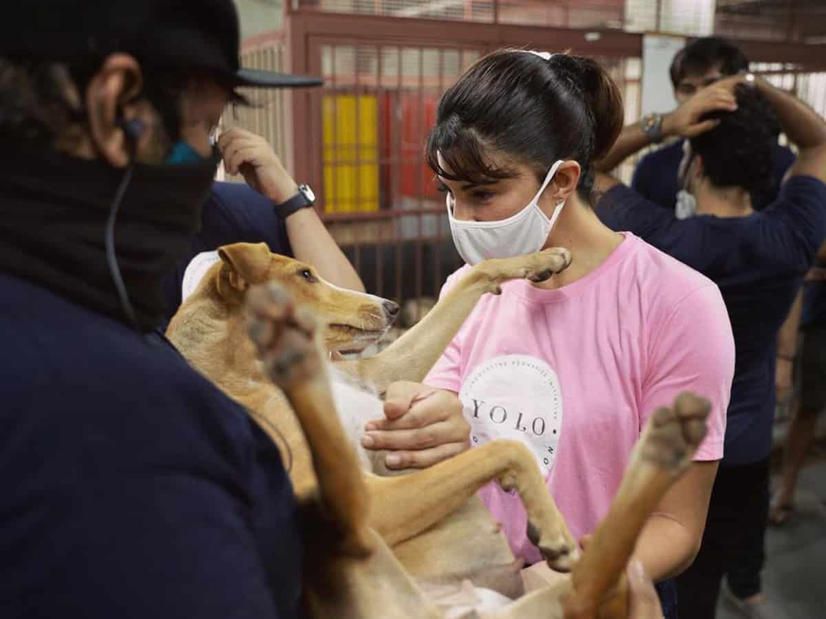 Jacqueline Fernandez's YOLO Foundation volunteers at animal shelters in Mumbai