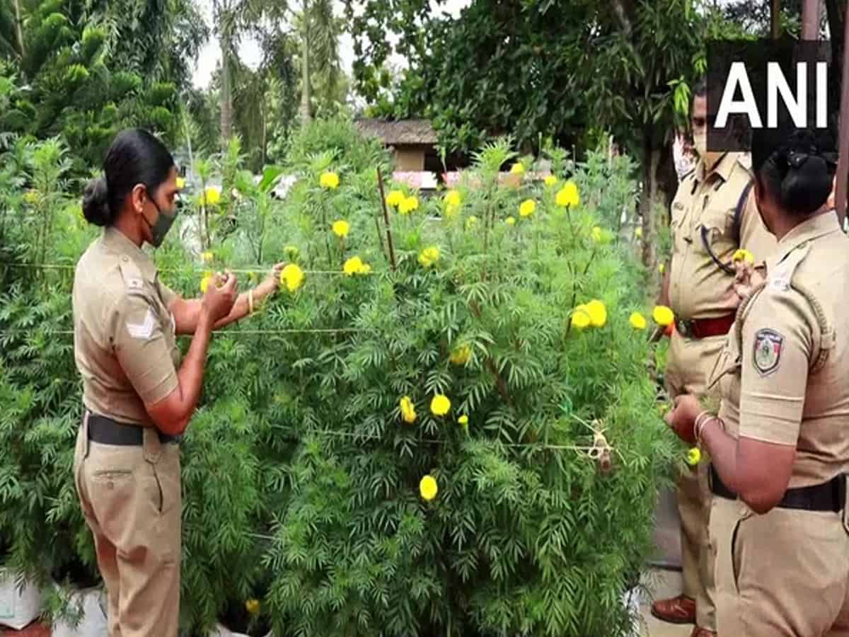 This Onam, Alappuzha police station spreads joy, gives out flowers for making Pookkalams