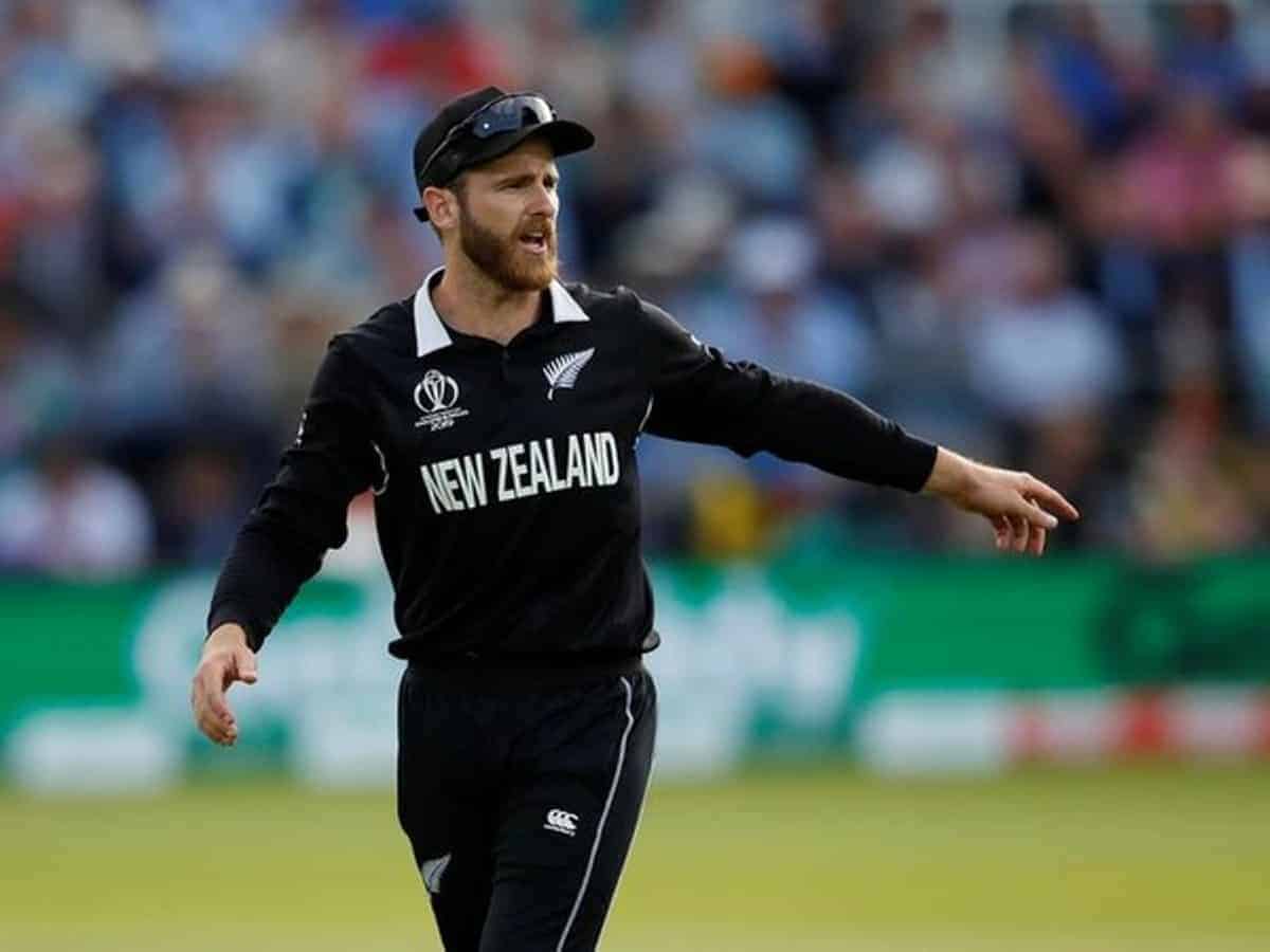 After WTC success, Williamson eyes ICC T20 World Cup