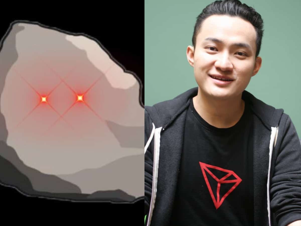 Would you spend $60000 on a picture of a rock? Justin Sun did !